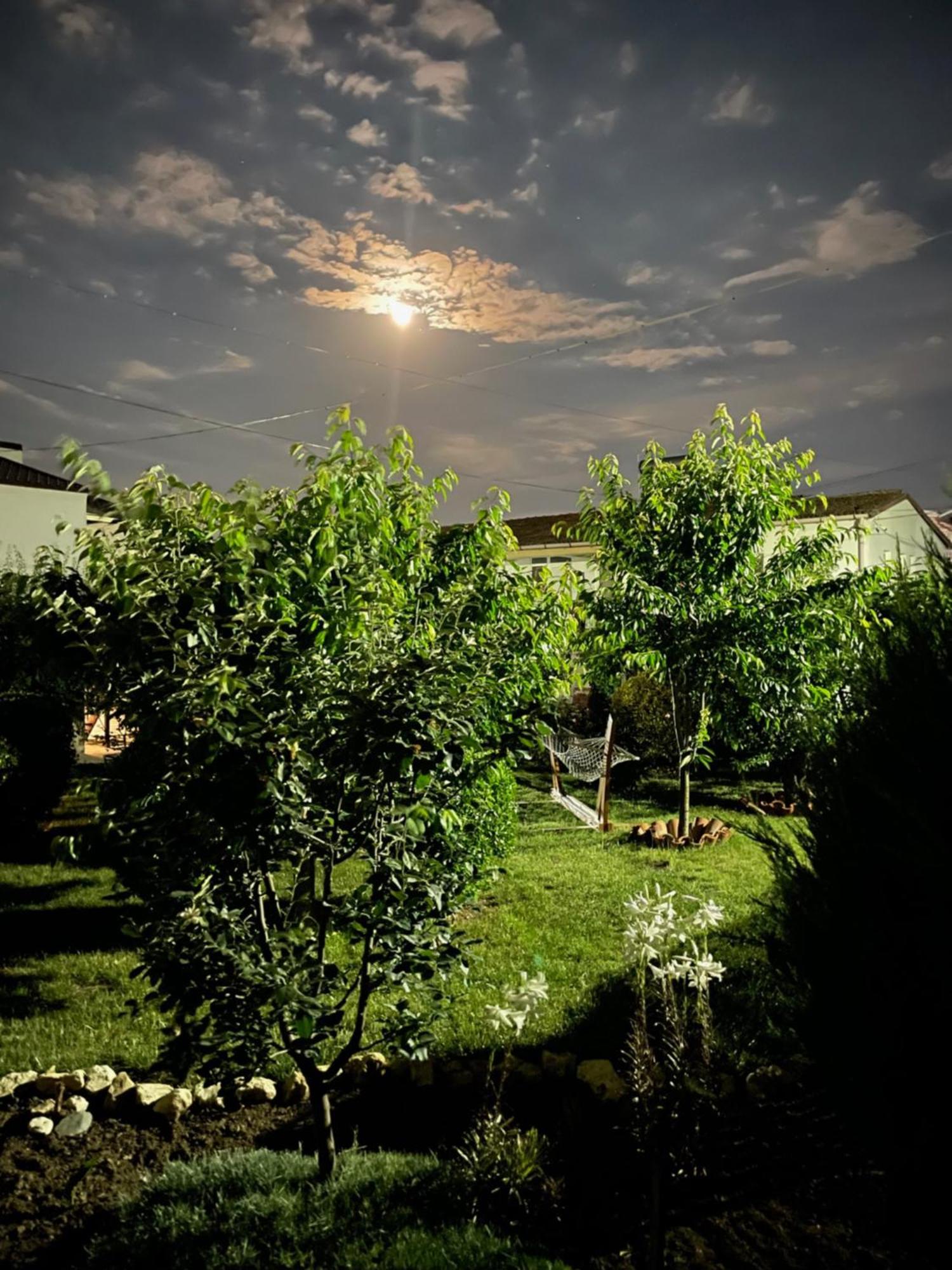 Hotel Complex Minerva Costinesti Exterior foto